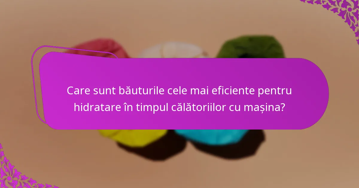 Care sunt băuturile cele mai eficiente pentru hidratare în timpul călătoriilor cu mașina?