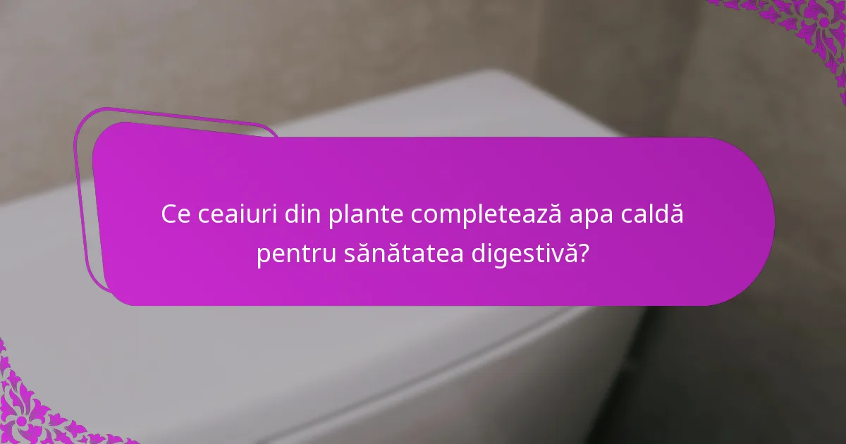 Ce ceaiuri din plante completează apa caldă pentru sănătatea digestivă?